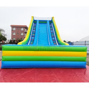 Customized Size PVC Tarpaulin Commercial Inflatable Slide