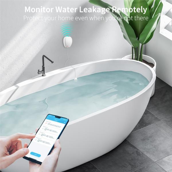WIFI Flood water leakage Sensor(JM-WW01)