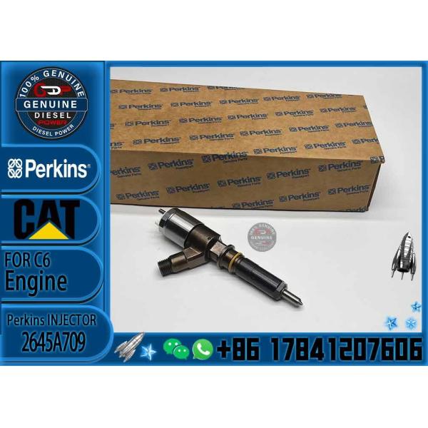 Quality Diesel engine fuel injector 282-0490 2645A709 for 321D excavators engine diesel C6.6 C6.4 C4.2 injector wholesale