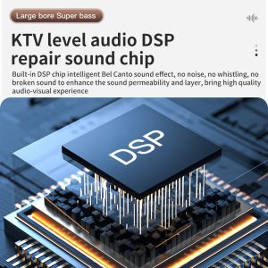 Outdoor DJ Party Karaoke Speaker With Wireless Microphone And Bluetooth