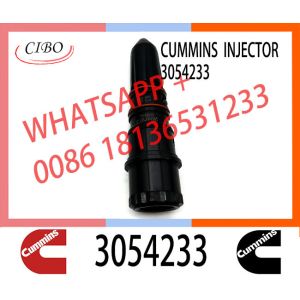 NT495 NT743 NTA855 diesel engine parts 3054233 3024147 4914308 3047973 fuel