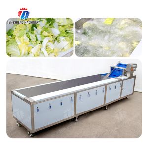 Cheap Vegetables Leaves Vegetables Onions Leafy vegetables Cabbage varieties Herbs Fruiting vegetables bubble washing machine for sale