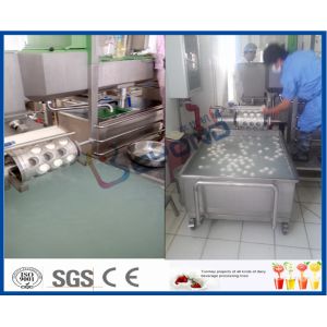 Butter / Cheese Processing Plant Cheese Making Equipment , 20000L/D Mutifuntiona