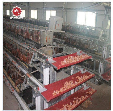 Quality 90/96/120/128/160 Birds Layer Chicken Cage System Farming A Type 3 Or 4 Tiers wholesale