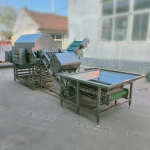 3000 kg/h Onion Skin Peeler for Root Vegetables and Stainless Steel 304 in