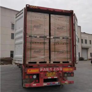 Jinko Tiger Neo Solar Mono Panels N Type 72hl4-V 560w 565w 570w 575w 580w