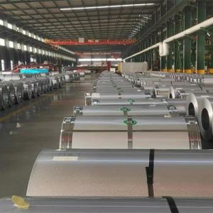 China Building Material 1219mm Galvanised Steel Coil 0.11mm on sale