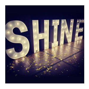 DC Power Supply Illuminated LED Neon Mirrors for Outdoor Digital Billboard