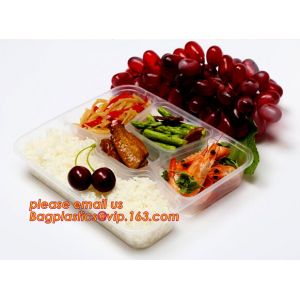 Disposable biodegradable plastic fiffin lunch box,compartment lunch box with lid
