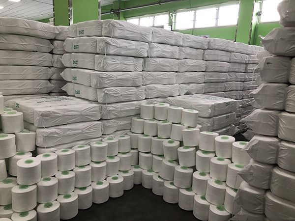 Raw White Spun Style Polyester Sewing Thread Colorful 20S/3 For Dyeing