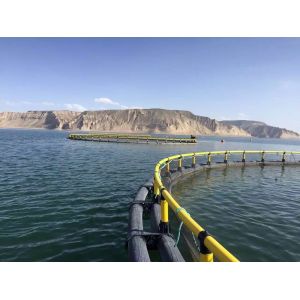 HDPE Floating Fish Farming Cages Customization for Aquaculture Farming