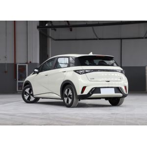 Export Fast Ship Smart Sport Automotive Motor Power BYD EV Car Dolphin Whale