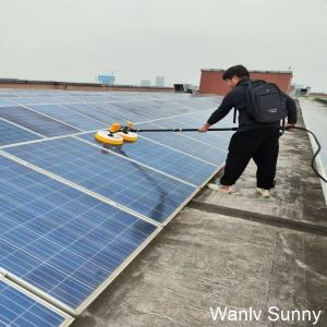 Artificial Control Photovoltaic Roller Solar Panel Cleaning Brushes with Water