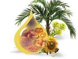 Big High Speed Centrifugal crude palm Oil Separator Machine ISO CE Certification