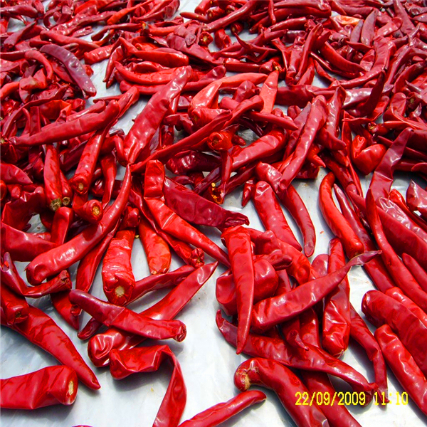Quality Spicy Chinese Dried Red Chili Peppers With As Ingredients wholesale