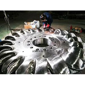 Voltage Brushless Pelton Turbine Power Generator IP54 Insulated Cast Iron /