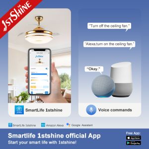 Hidden Blades 42inch 60W LED Ceiling Fan for Lower Noise and Elegant Home