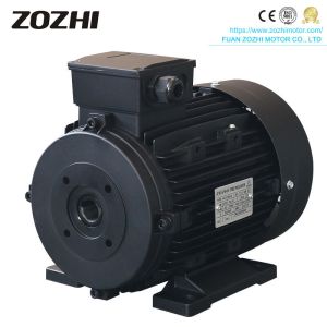 China 5.5kw 220V/380V Hollow Shaft Electric Motor for Washing Machine on sale