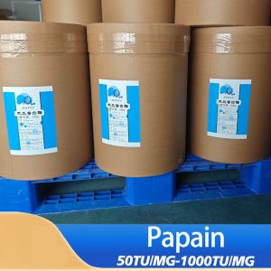 standardized papain powders and liquids Applied To Protein Hydrolysis And