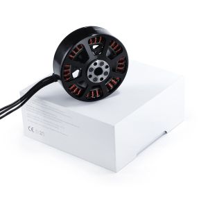 8118 EEE Brushless DC Motor 100KV