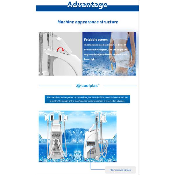 Beauty Salon Mini Cryolipolysis Fat Freezing Machine