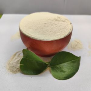 China Animal Feed Brewer's Yeast for Ducks Improves Feed Efficiency And Eggshell Quality on sale