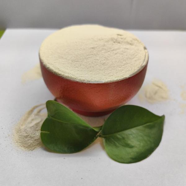 Animal Feed Brewer's Yeast for Ducks Improves Feed Efficiency And Eggshell