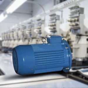 AC Electric Vibration Motors Capacity 0.75/1.1/1.5/2.2/3/4/5.5/7.5/11/15/22/30