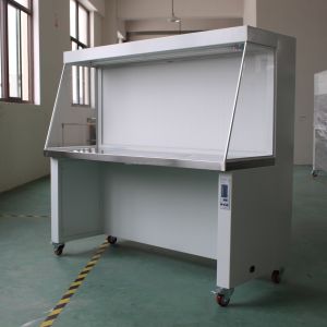Vertical Clean Bench Horizontal Laminar Flow Benches For PCR Lab Cleanroom