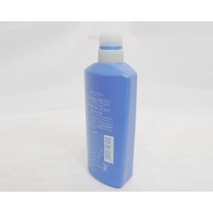 PE Shampoo Bottle-4 with pum