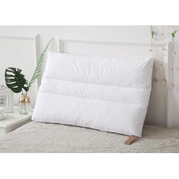 Quality 100% Cotton Downproof 100g 40s Goose Down Pillows wholesale