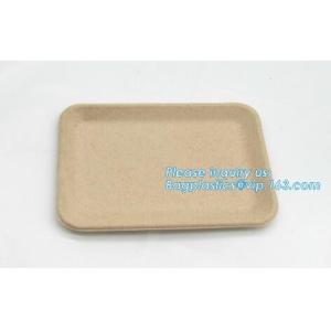Biodegradable & Compostable 8 inchSquare sugarcane trays,sugarcane pulp