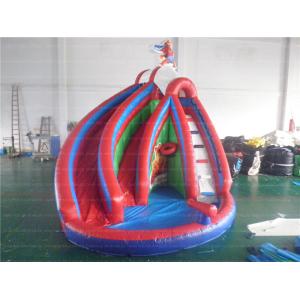 Fun Inflatable Water Slide (CYSL-27)