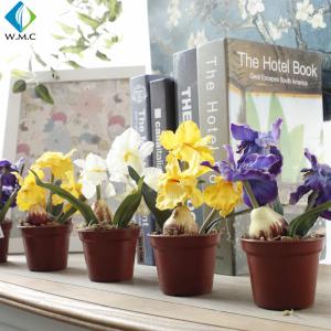 Mini Artificial Iris Flowers Bonsai Type 15cm Height 5-10 Years Life Time