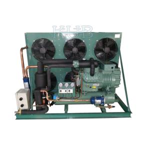 420v R404A Cold Room Compressor Condensing Unit 4HE18Y