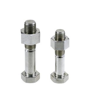 SS M4 M5 M6 M8 M10 M12 Heavy Hex Headed Cap Screw Machine Bolt and Nuts Hex