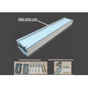 6500K 100v IP65 LED Tri Proof Lights 100LM T8 4ft Led Bulbs Adjuatable