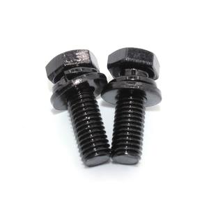Combination Screw Hex Head Bolt with Single Coil Spring Lock Washer and Plain