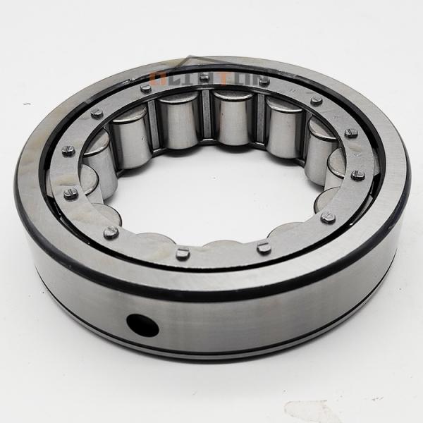 6V1013 Cylindrical Roller Bearing for CAT D6D Bulldozer Engine 3306 Heavy Duty Design