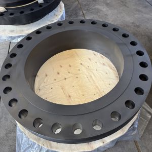 A/SA694-F70 Welding Neck Flange Ring Type Joint 900#,NACE MR0175