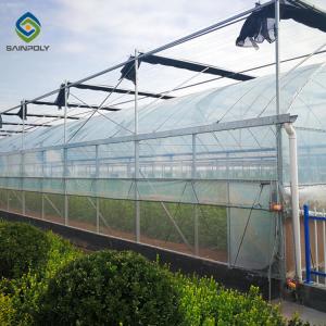 China Hydroponic Agriculture Commercial Glass Greenhouse With Shading System on sale