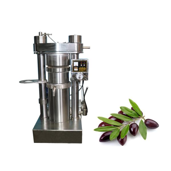 Quality Single Phase Cold Press Oil Extraction Machine Oil Processing Machinery wholesale