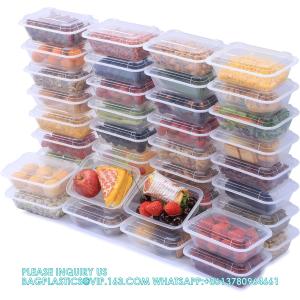 Compartment 24 OZ Meal Prep Plastic Food Storage Containers Reusable Lunch Bento