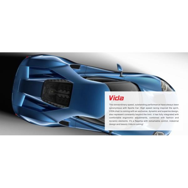 Nylon Base Ergonomic Office Chair 55mm PA Lumbar Support Adjustable Arms