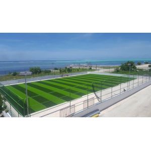 50mm Pile Height Artificial Grass with Easy Installation Soft Touch and High