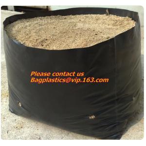 vegetables, fruits, seeds, bedding plants, tomatoes, peppers, cucumbers, tree