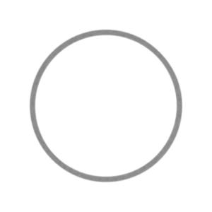 579-1693: Rectangular Seal Caterpillar