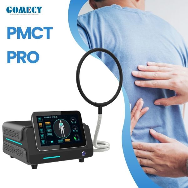 Pemf Magnetic Therapy Device Pmst Loop With Mattress Pemf Full Body Massage Mat