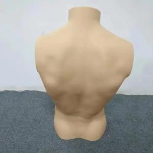 China Extrusion Accumulator Blow Moulding Machine For Plastic Mannequin on sale