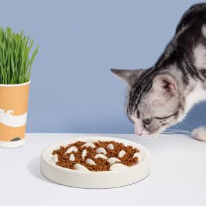 Trendy Slow Feed Pet Bowls - Aligning with Current Market Demands